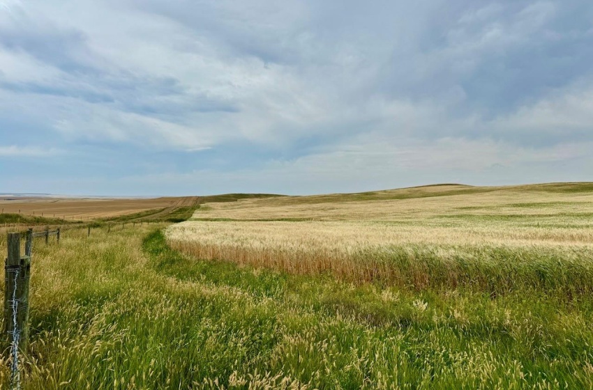 Rural Address, Old Post Rm No. 43, Saskatchewan S0H 1P0, ,Farm,For Sale,Killdeer 1,278 Acres Grain Farmland,Rural Address,SK995930