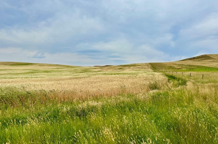 Rural Address, Old Post Rm No. 43, Saskatchewan S0H 1P0, ,Farm,For Sale,Killdeer 1,278 Acres Grain Farmland,Rural Address,SK995930