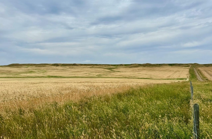 Rural Address, Old Post Rm No. 43, Saskatchewan S0H 1P0, ,Farm,For Sale,Killdeer 1,278 Acres Grain Farmland,Rural Address,SK995930