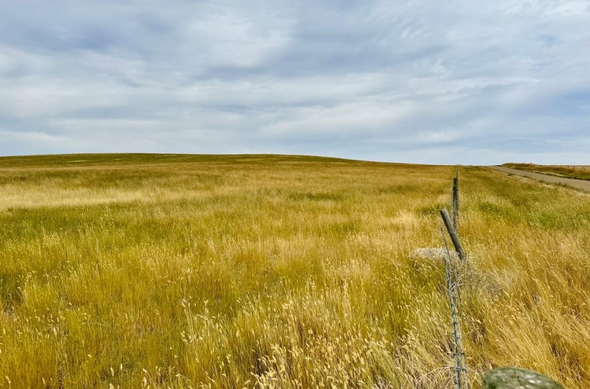 Rural Address, Old Post Rm No. 43, Saskatchewan S0H 1P0, ,Farm,For Sale,Killdeer 1,278 Acres Grain Farmland,Rural Address,SK995930