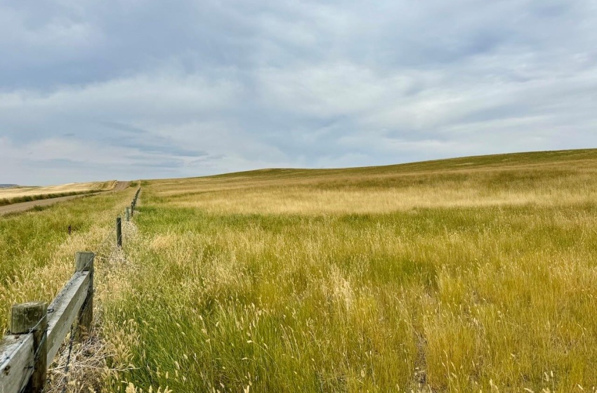 Rural Address, Old Post Rm No. 43, Saskatchewan S0H 1P0, ,Farm,For Sale,Killdeer 1,278 Acres Grain Farmland,Rural Address,SK995930