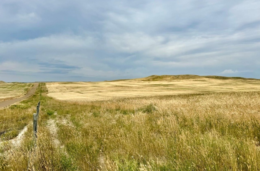 Rural Address, Old Post Rm No. 43, Saskatchewan S0H 1P0, ,Farm,For Sale,Killdeer 1,278 Acres Grain Farmland,Rural Address,SK995930