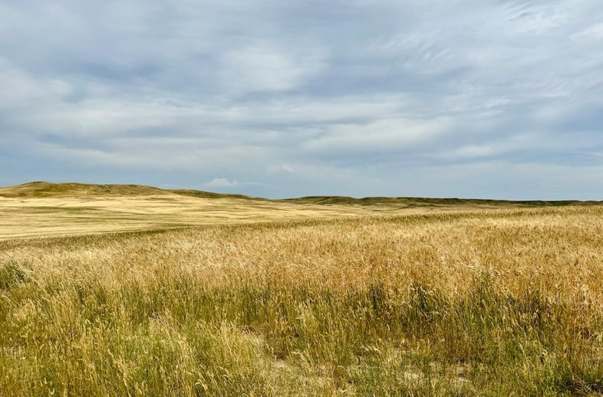 Rural Address, Old Post Rm No. 43, Saskatchewan S0H 1P0, ,Farm,For Sale,Killdeer 1,278 Acres Grain Farmland,Rural Address,SK995930