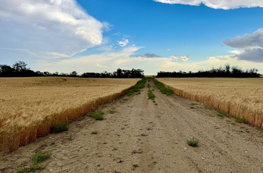 Rural Address, Wood River Rm No. 74, Saskatchewan S0H 4M0, ,Farm,For Sale,Woodrow 3,954 acres Grain Farmland,Rural Address,SK995932