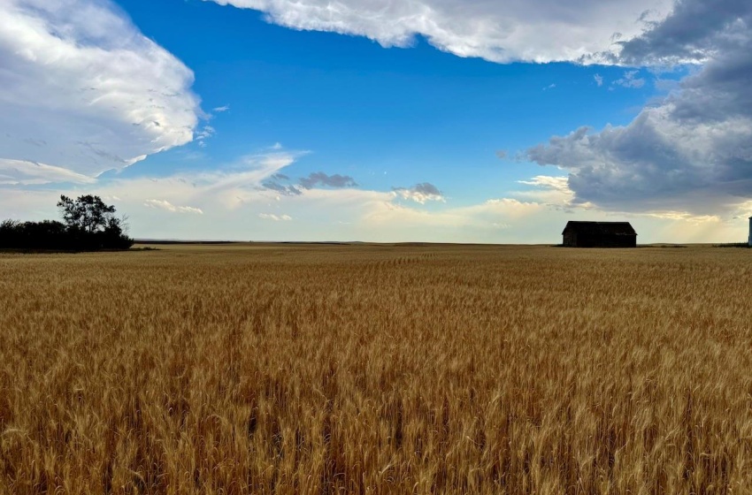 Rural Address, Wood River Rm No. 74, Saskatchewan S0H 4M0, ,Farm,For Sale,Woodrow 3,954 acres Grain Farmland,Rural Address,SK995932