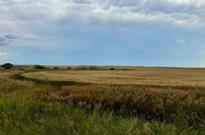 Rural Address, Wood River Rm No. 74, Saskatchewan S0H 4M0, ,Farm,For Sale,Woodrow 3,954 acres Grain Farmland,Rural Address,SK995932