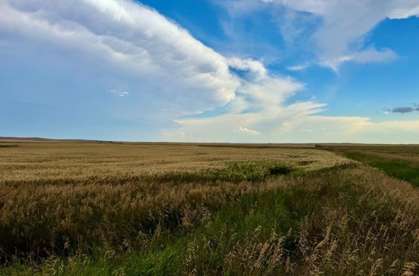 Rural Address, Wood River Rm No. 74, Saskatchewan S0H 4M0, ,Farm,For Sale,Woodrow 3,954 acres Grain Farmland,Rural Address,SK995932