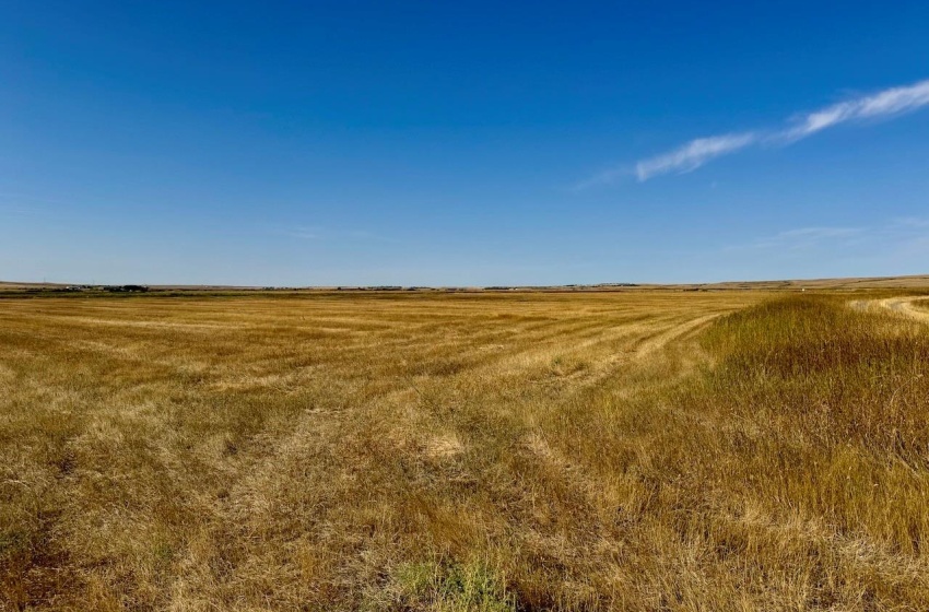 Rural Address, Excelsior Rm No. 166, Saskatchewan S0H 3S0, ,Farm,For Sale,Rush Lake 317 acres Irrigation Hay Lands,Rural Address,SK995936