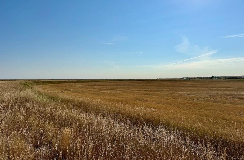 Rural Address, Excelsior Rm No. 166, Saskatchewan S0H 3S0, ,Farm,For Sale,Rush Lake 317 acres Irrigation Hay Lands,Rural Address,SK995936