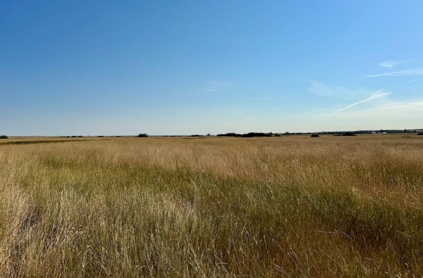 Rural Address, Excelsior Rm No. 166, Saskatchewan S0H 3S0, ,Farm,For Sale,Rush Lake 317 acres Irrigation Hay Lands,Rural Address,SK995936