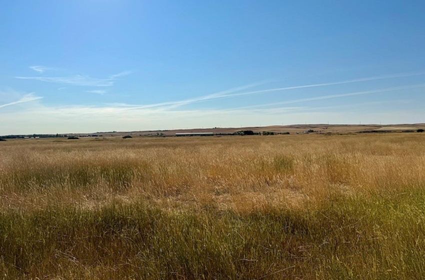 Rural Address, Excelsior Rm No. 166, Saskatchewan S0H 3S0, ,Farm,For Sale,Rush Lake 317 acres Irrigation Hay Lands,Rural Address,SK995936