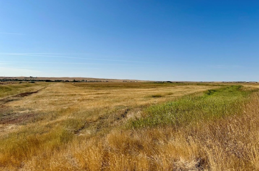 Rural Address, Excelsior Rm No. 166, Saskatchewan S0H 3S0, ,Farm,For Sale,Rush Lake 317 acres Irrigation Hay Lands,Rural Address,SK995936