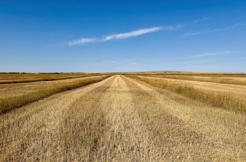 Rural Address, Excelsior Rm No. 166, Saskatchewan S0H 3S0, ,Farm,For Sale,Rush Lake 317 acres Irrigation Hay Lands,Rural Address,SK995936