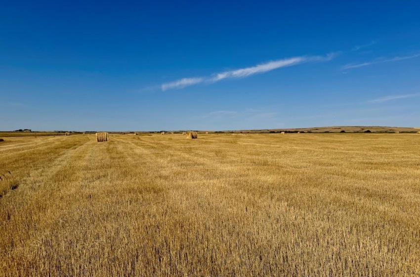 Rural Address, Excelsior Rm No. 166, Saskatchewan S0H 3S0, ,Farm,For Sale,Rush Lake 317 acres Irrigation Hay Lands,Rural Address,SK995936