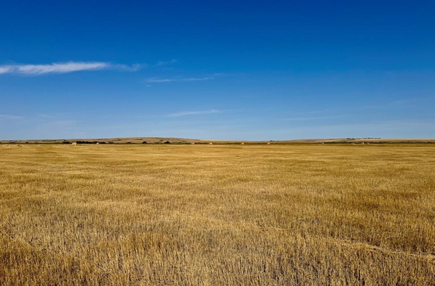 Rural Address, Excelsior Rm No. 166, Saskatchewan S0H 3S0, ,Farm,For Sale,Rush Lake 317 acres Irrigation Hay Lands,Rural Address,SK995936