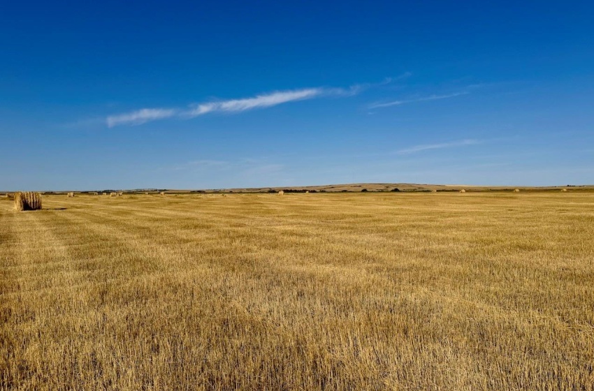 Rural Address, Excelsior Rm No. 166, Saskatchewan S0H 3S0, ,Farm,For Sale,Rush Lake 317 acres Irrigation Hay Lands,Rural Address,SK995936