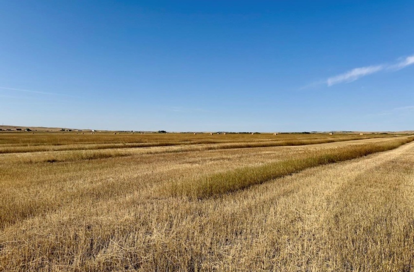 Rural Address, Excelsior Rm No. 166, Saskatchewan S0H 3S0, ,Farm,For Sale,Rush Lake 317 acres Irrigation Hay Lands,Rural Address,SK995936