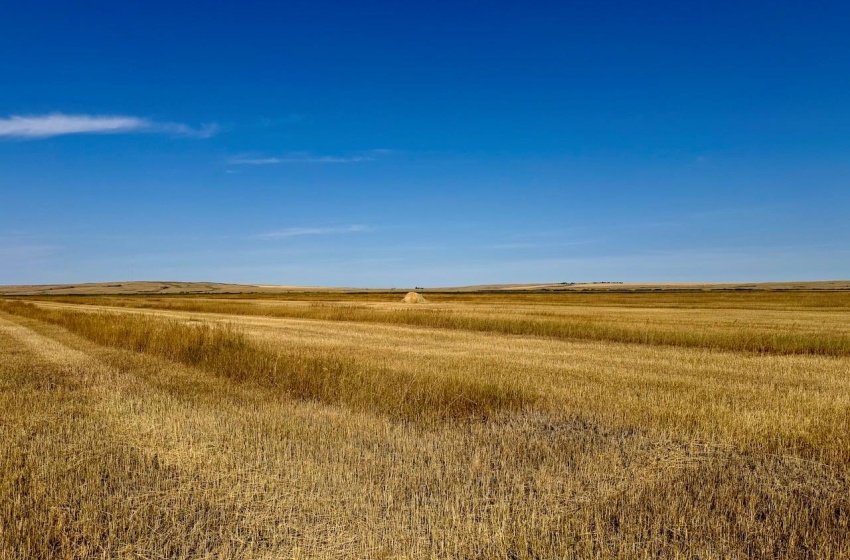 Rural Address, Excelsior Rm No. 166, Saskatchewan S0H 3S0, ,Farm,For Sale,Rush Lake 317 acres Irrigation Hay Lands,Rural Address,SK995936