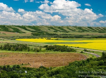 Rual Rural Address, Longlaketon Rm No. 219, Saskatchewan S0G 0J5, 2 Bedrooms Bedrooms, 6 Rooms Rooms,1 BathroomBathrooms,Acreage,For Sale,Valley House on 3.15 Acre Lot,Rural Address,SK995960