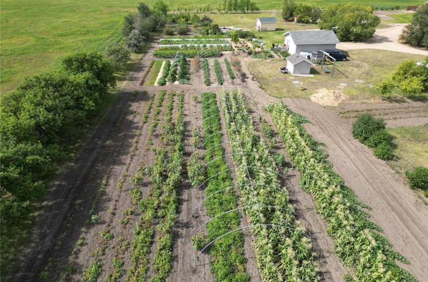 View of the large organic garden with drip system. To till.