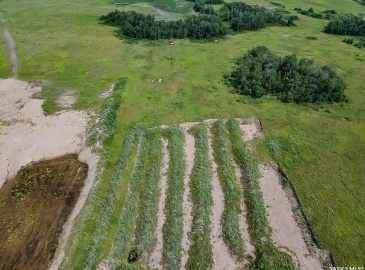 Rural Address, Orkney Rm No. 244, Saskatchewan S3N 2W7, ,Farm,For Sale,Gravel Quarter - Rm Orkney,Rural Address,SK996267