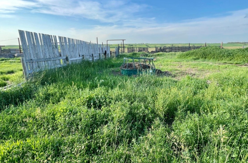 Rural Address, Harris Rm No. 316, Saskatchewan S0L 1K0, 3 Bedrooms Bedrooms, 11 Rooms Rooms,3 BathroomsBathrooms,Acreage,For Sale,Harris 160 Acres Grain Farmland (Kroes),Rural Address,SK996348