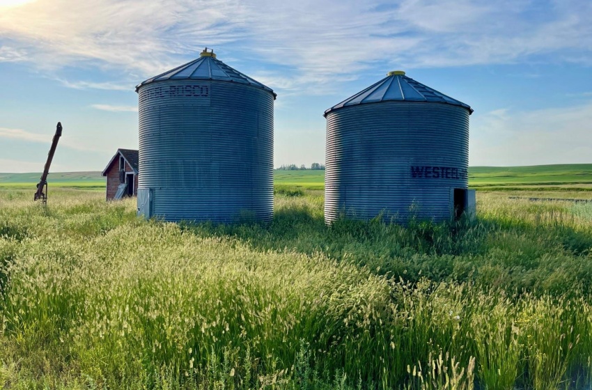 Rural Address, Harris Rm No. 316, Saskatchewan S0L 1K0, 3 Bedrooms Bedrooms, 11 Rooms Rooms,3 BathroomsBathrooms,Acreage,For Sale,Harris 160 Acres Grain Farmland (Kroes),Rural Address,SK996348