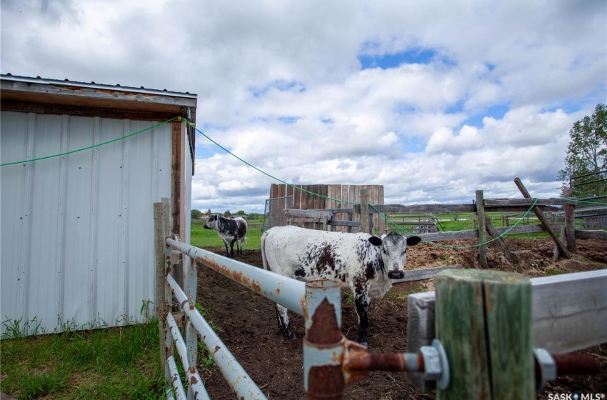 Tallman Rural Address, Vanscoy Rm No. 345, Saskatchewan S0L 3J0, 3 Bedrooms Bedrooms, 6 Rooms Rooms,1 BathroomBathrooms,Acreage,For Sale,Tallman Acreage,Rural Address,SK996637