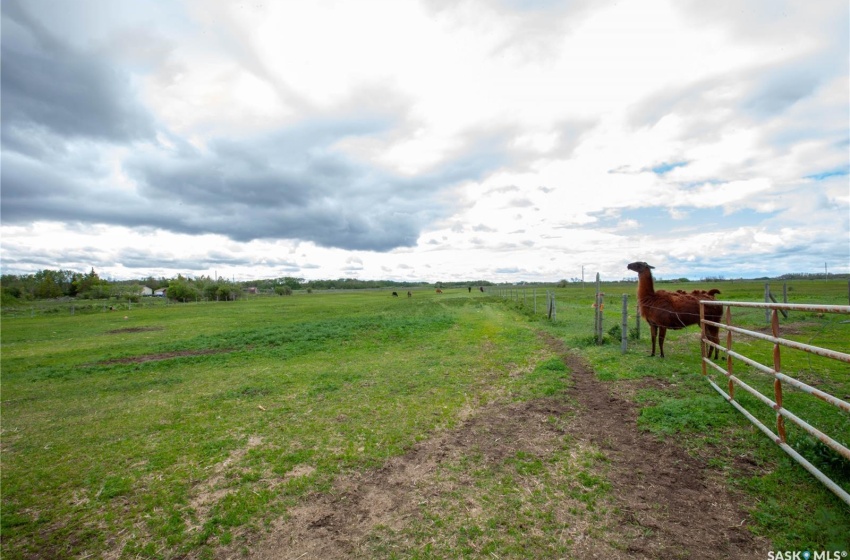 Tallman Rural Address, Vanscoy Rm No. 345, Saskatchewan S0L 3J0, 3 Bedrooms Bedrooms, 6 Rooms Rooms,1 BathroomBathrooms,Acreage,For Sale,Tallman Acreage,Rural Address,SK996637