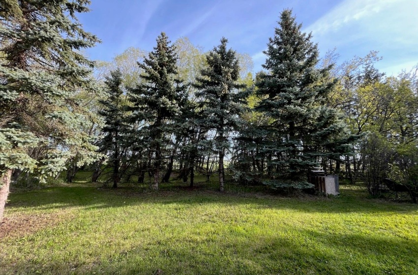 Rural Address, Tisdale Rm No. 427, Saskatchewan S0E 1T0, 2 Bedrooms Bedrooms, 11 Rooms Rooms,1 BathroomBathrooms,Acreage,For Sale,Browning Acreage,Rural Address,SK996814