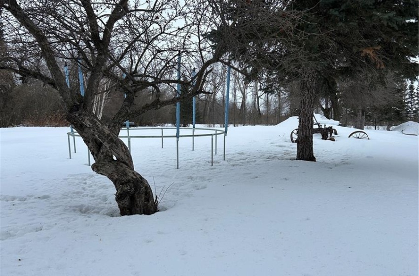 View of yard covered in snow