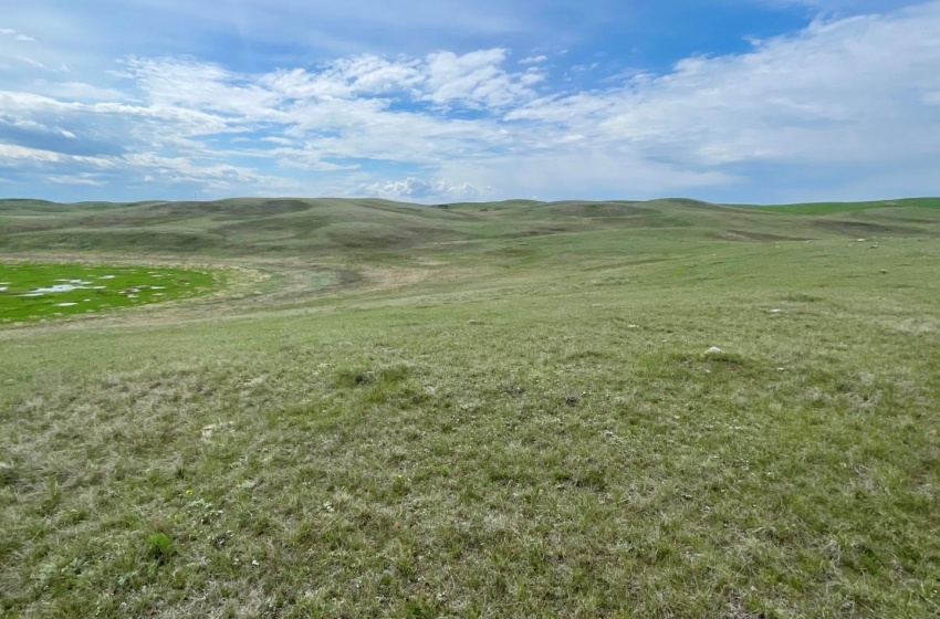 Rural Address, Chaplin Rm No. 164, Saskatchewan S0H 0V0, ,Farm,For Sale,DUC Berger Land - 320 Acres,Rural Address,SK998232