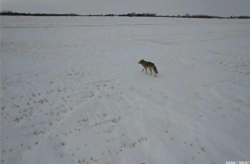 Rural Address, Big Quill Rm No. 308, Saskatchewan S0A 4T0, ,Farm,For Sale,Big Quill RM Land,Rural Address,SK997124