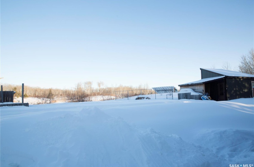 Yard layered in snow with an outbuilding